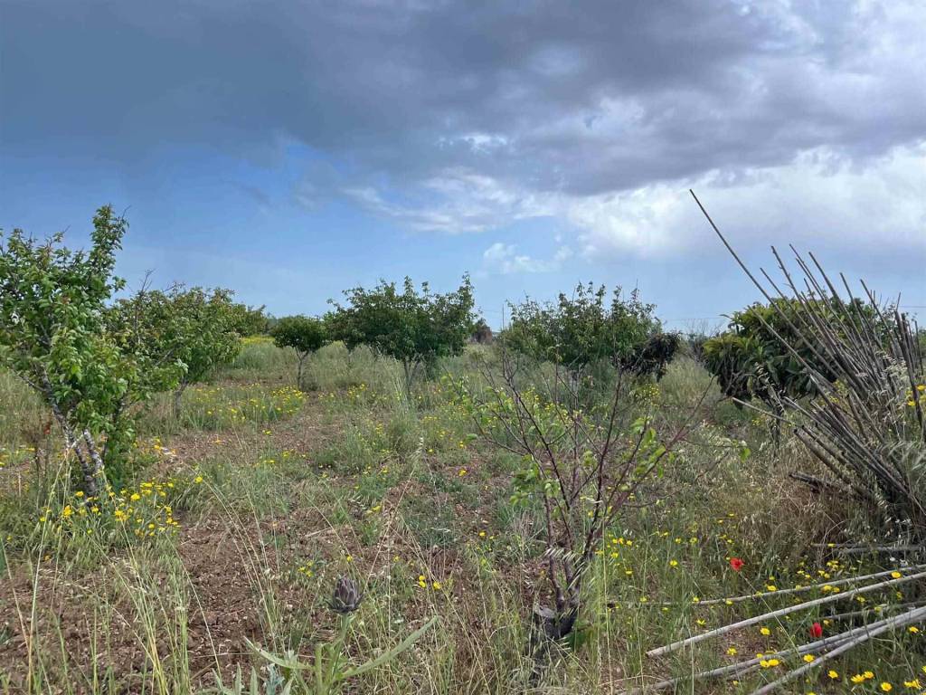 Terreno a Noto in Strada Provinciale Saline-Panze-Longarini - Foto 4