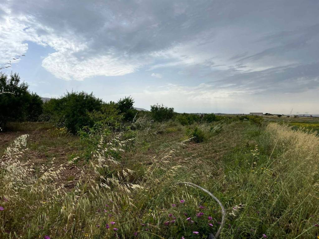 Terreno a Noto in Strada Provinciale Saline-Panze-Longarini - Foto 5