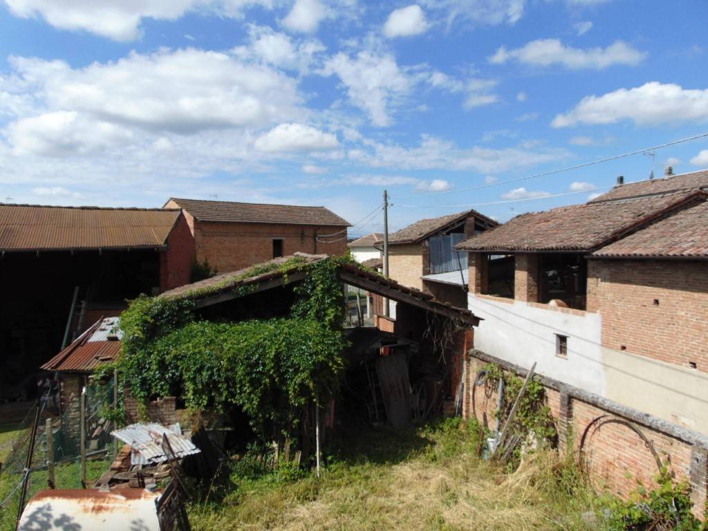 Rustico / casale a Bergamasco in Via Dante Alighieri, 9 - Foto 3