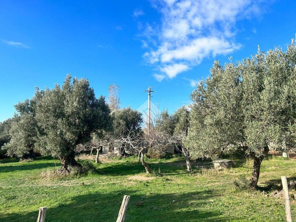 Terreno a Catanzaro in Traversa Bellino - Foto 2