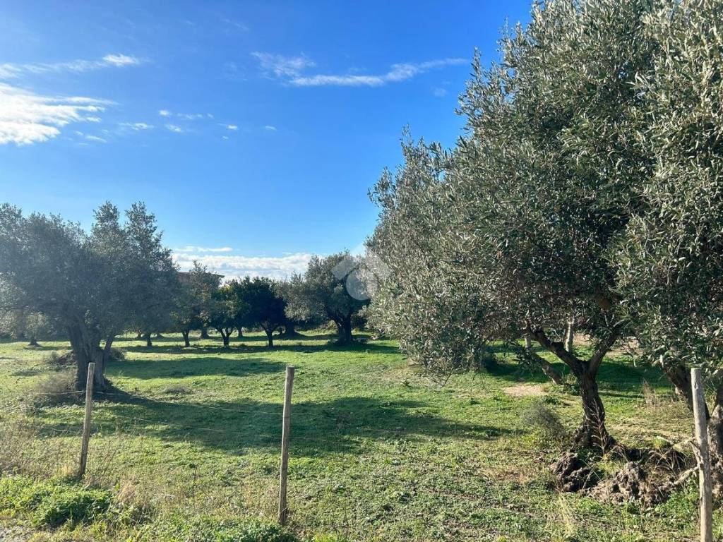 Terreno a Catanzaro in Traversa Bellino - Foto 3