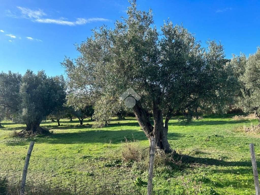Terreno a Catanzaro in Traversa Bellino - Foto 5