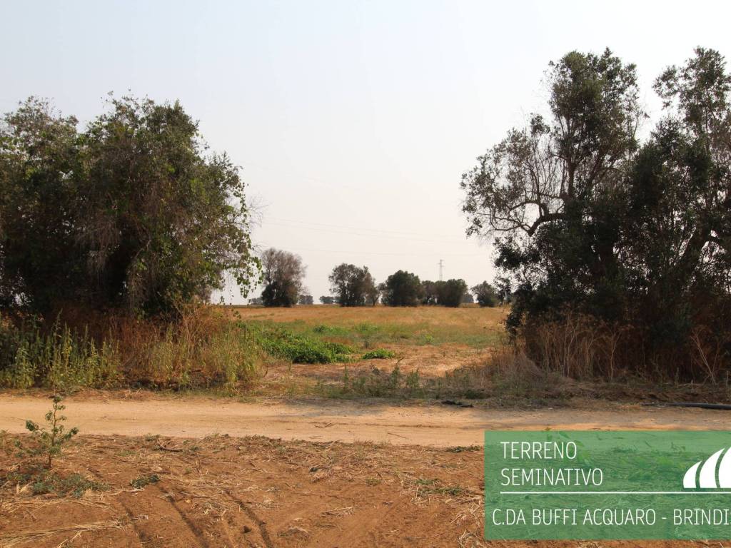 Terreno a Brindisi in Strada Provinciale Acquaro - Foto 5