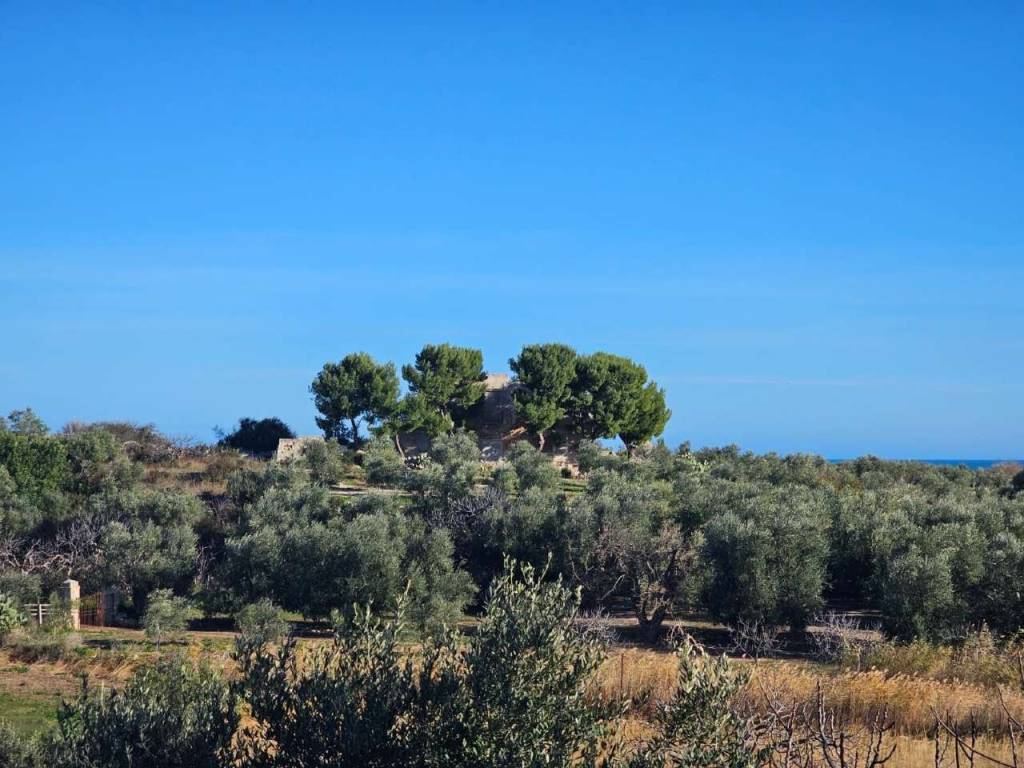 Villa a Bisceglie in via Cala Pantano - Foto 2