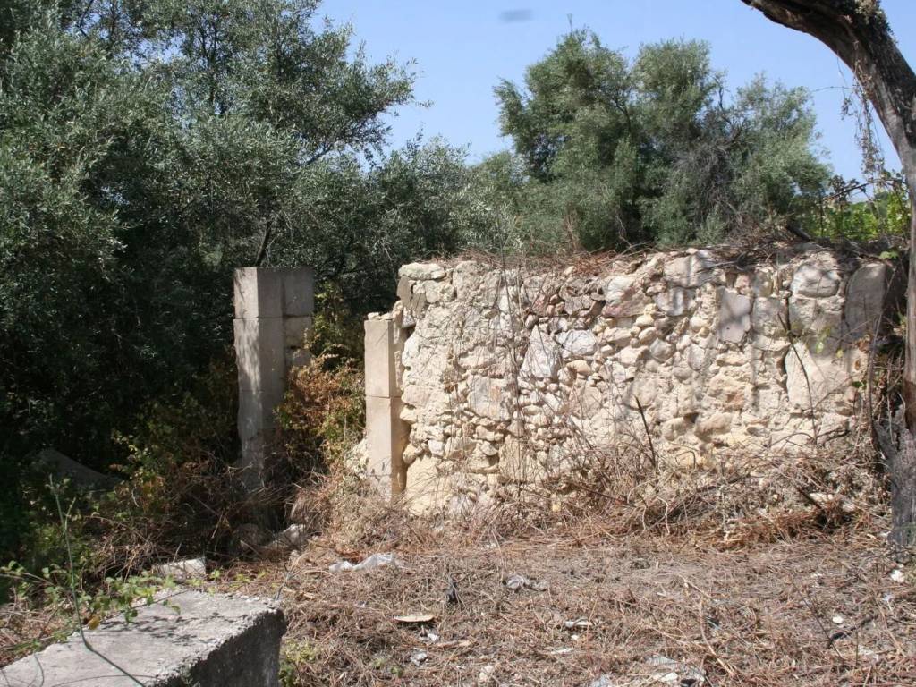 Terreno a Noto in Gioi S.N.C. - Foto 5