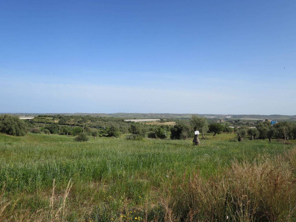 Terreno a Noto in Contrada Renna - Foto 2