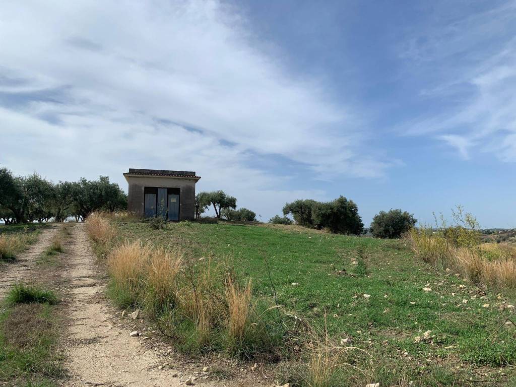 Terreno a Noto in Strada Provinciale 26 S.N.C. - Foto 2