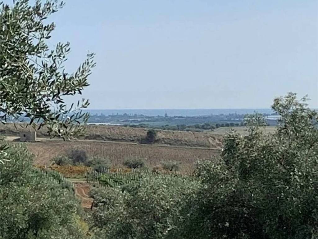 Terreno a Noto in Strada Provinciale 26 S.N.C. - Foto 4