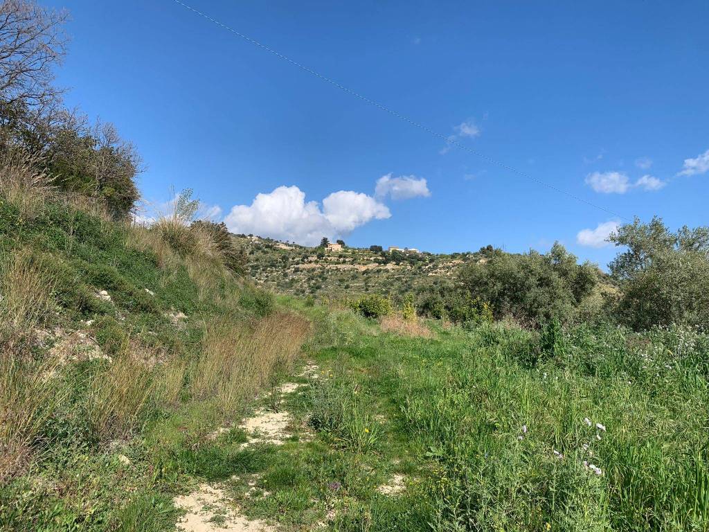 Terreno a Noto in Contrada Fiumara - Foto 2