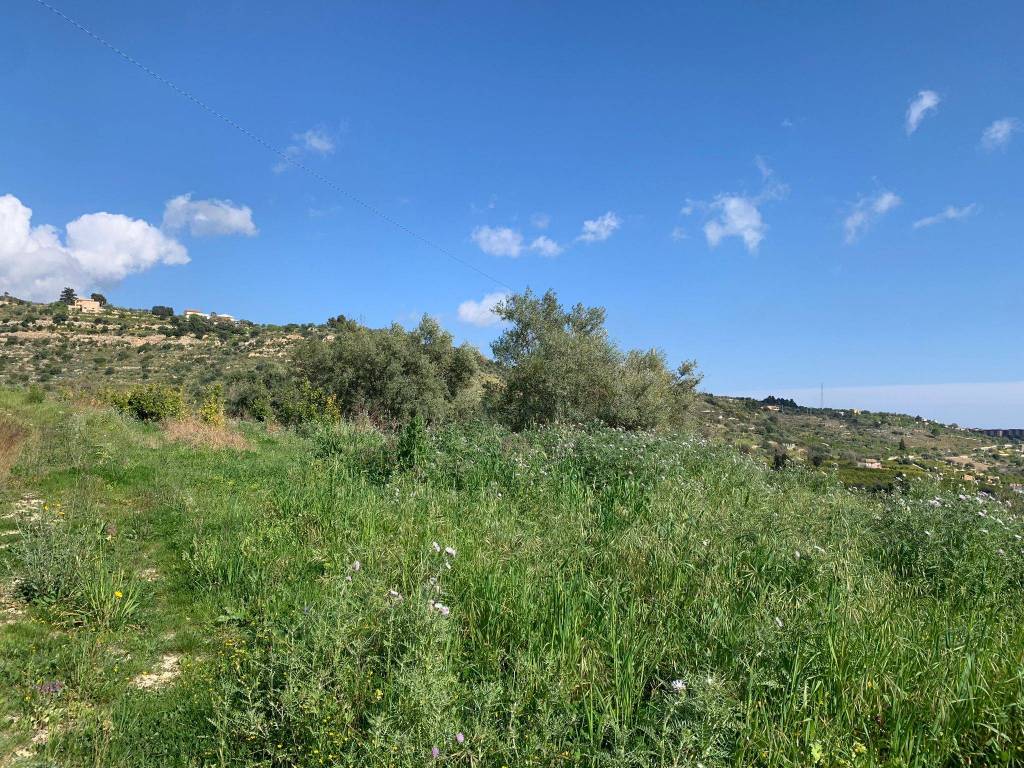 Terreno a Noto in Contrada Fiumara - Foto 3