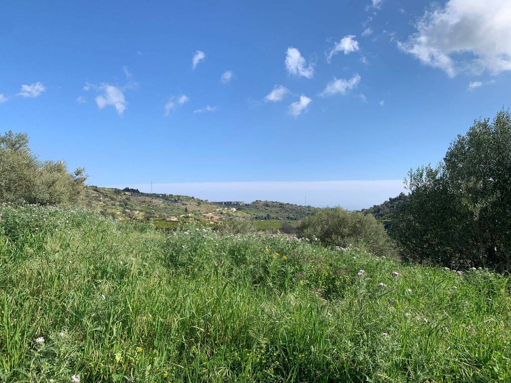 Terreno a Noto in Contrada Fiumara - Foto 4