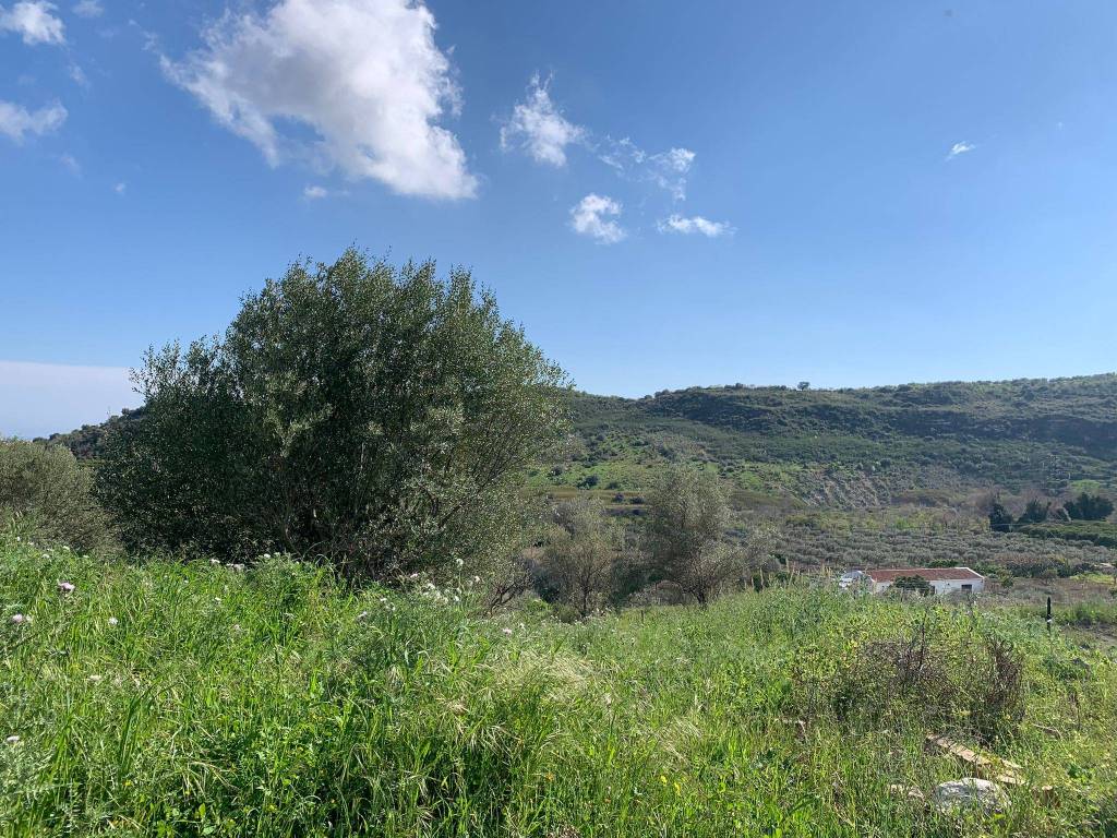 Terreno a Noto in Contrada Fiumara - Foto 5