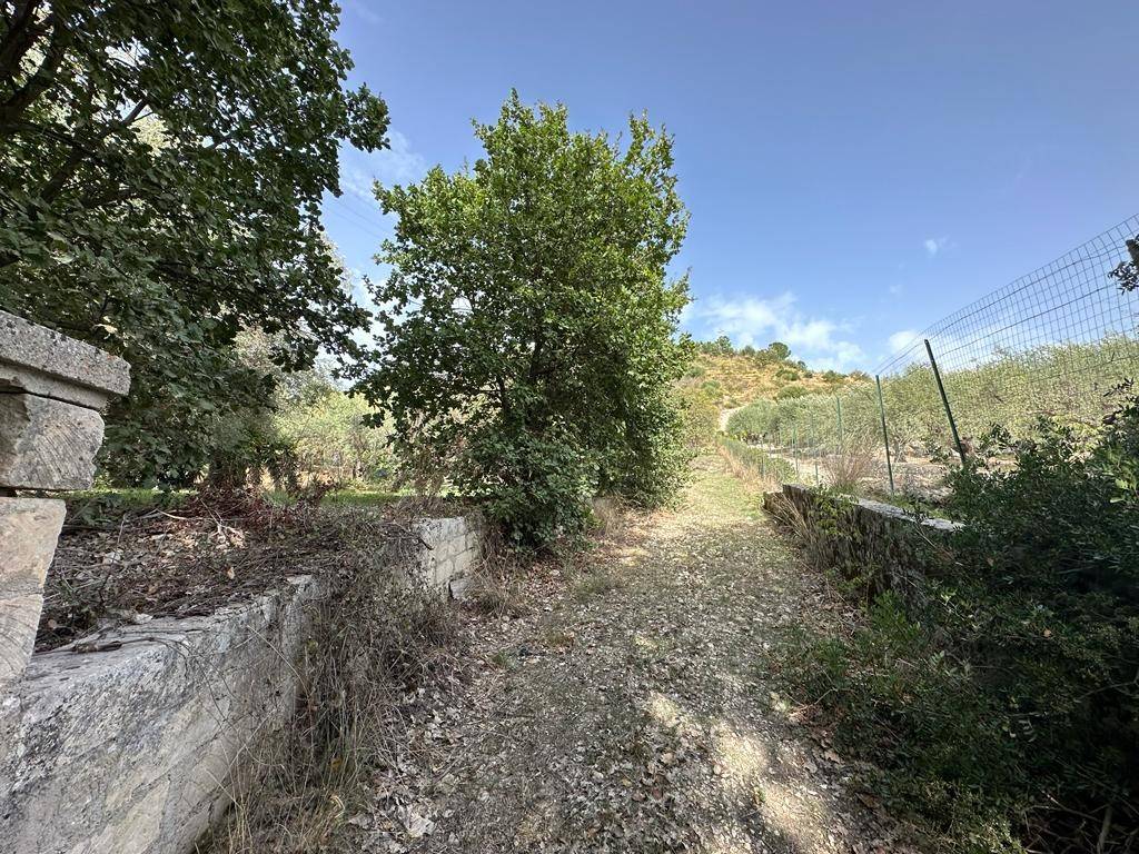 Terreno a Noto in Contrada Fiumara - Foto 2