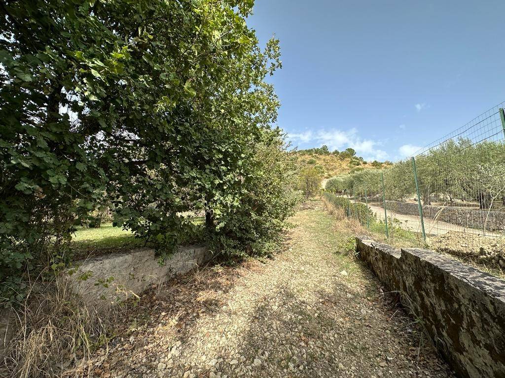 Terreno a Noto in Contrada Fiumara - Foto 3