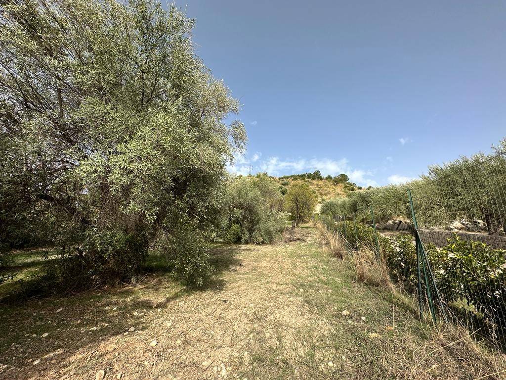 Terreno a Noto in Contrada Fiumara - Foto 5