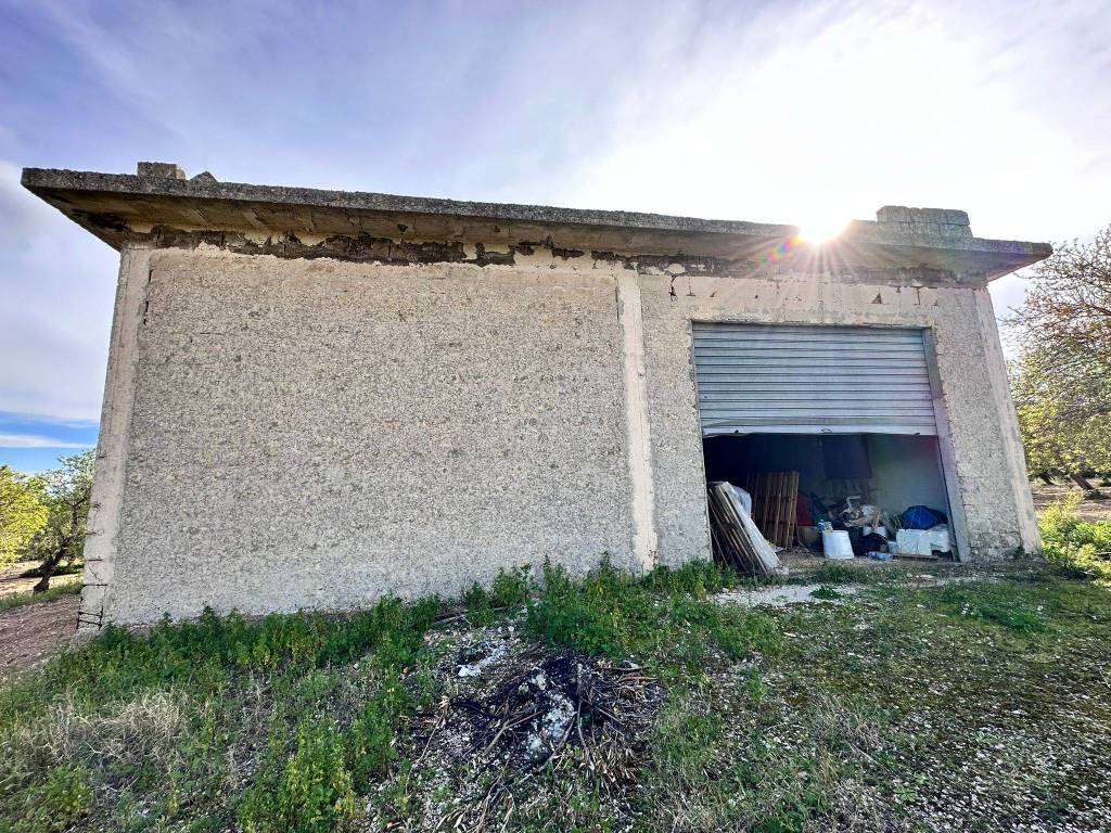 Terreno a Noto in Strada Statale Sud Occidentale Sicula - Foto 5