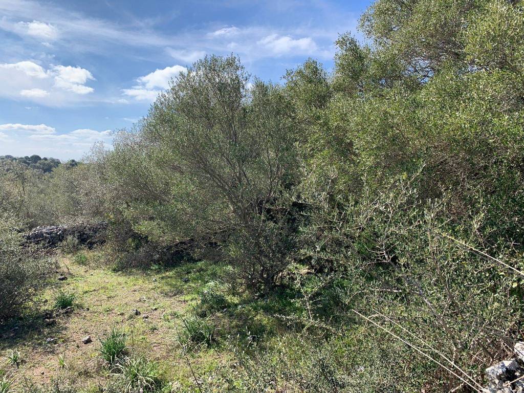 Rustico / casale a Avola in Strada Senza Nome - Foto 3