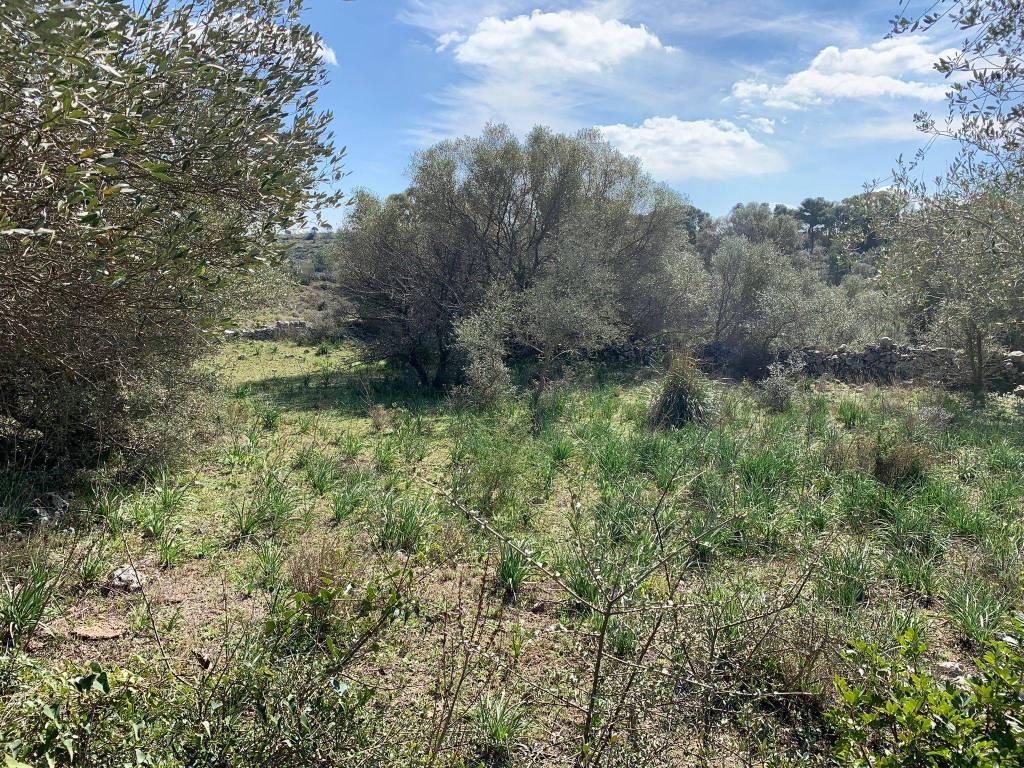 Rustico / casale a Avola in Strada Senza Nome - Foto 4