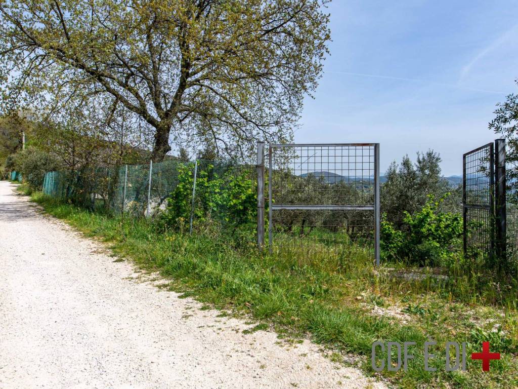 Rustico / casale a Salisano in Via Campore - Foto 4