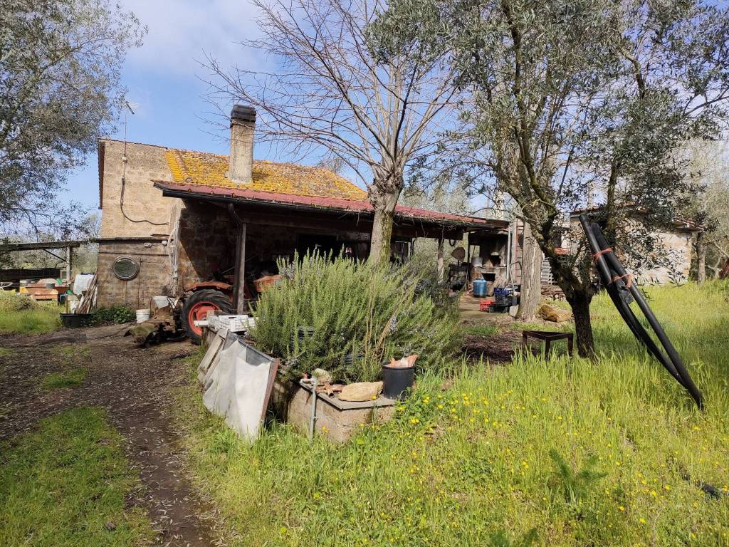 Terreno a Vetralla in Via Aurelia - Foto 3