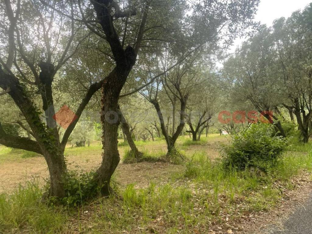 Terreno a Anagni in via paterno, snc - Foto 3