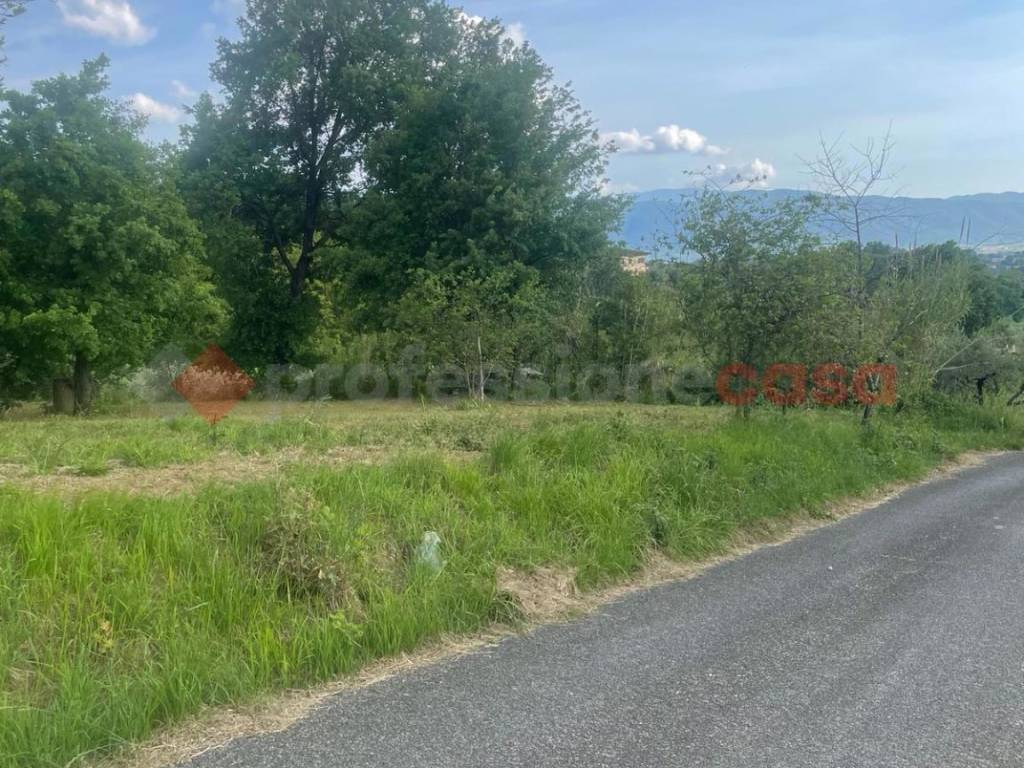 Terreno a Anagni in via paterno, snc - Foto 4