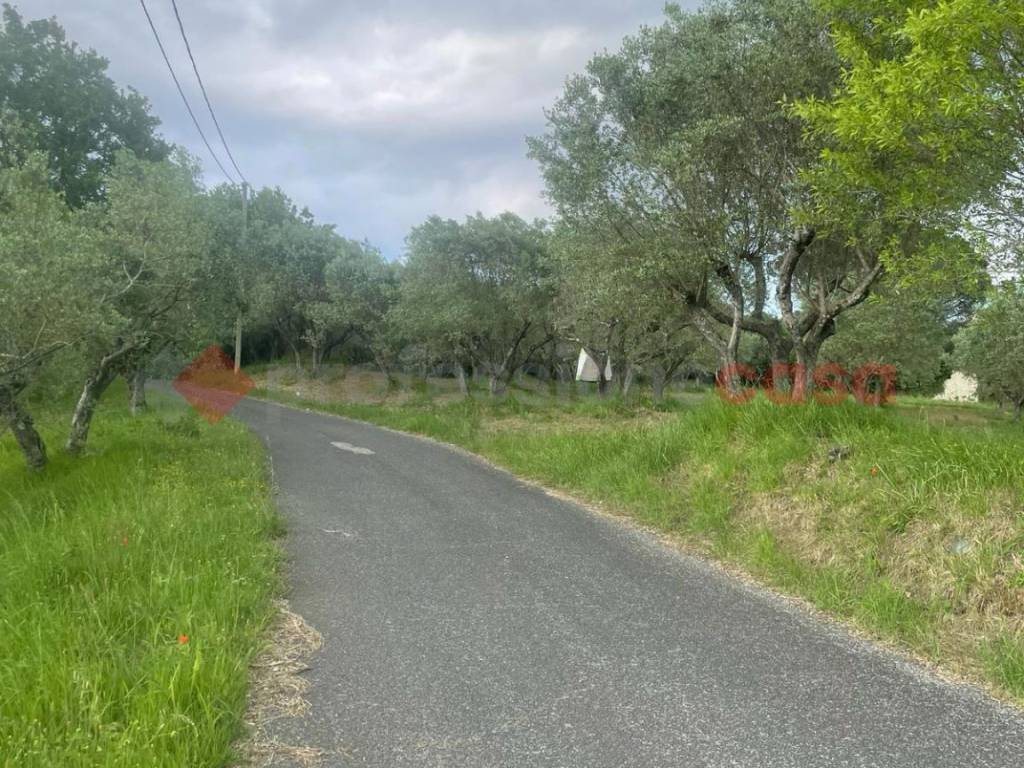 Terreno a Anagni in via paterno, snc - Foto 5