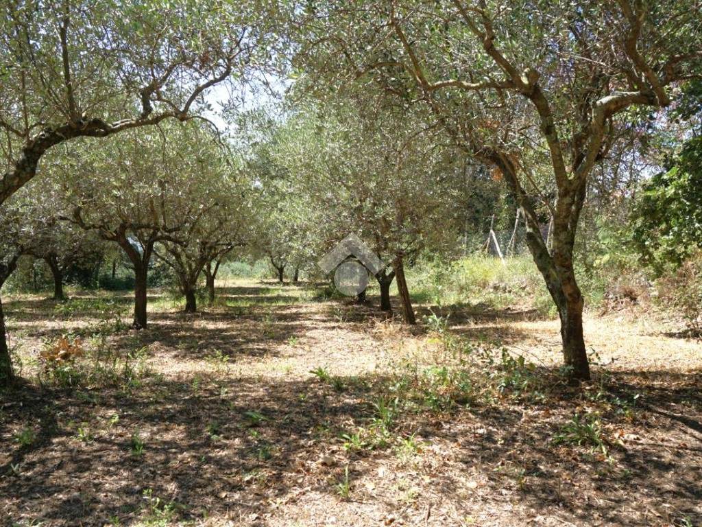 Terreno a Montecorvino pugliano in Via Salvo D'Acquisto - Foto 4