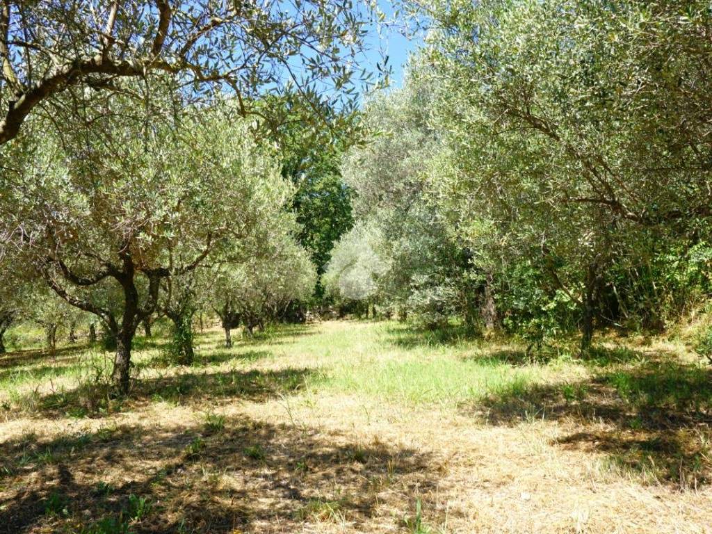 Terreno a Montecorvino pugliano in Via Salvo D'Acquisto - Foto 5