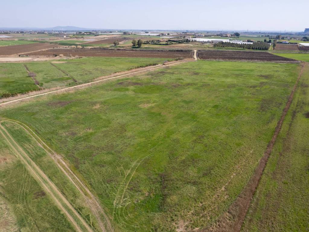 Terreno a Montalto di castro in Strada Provinciale Pescia Romana - Foto 2