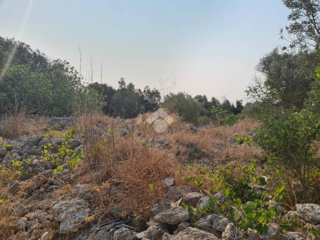 Terreno a Gallipoli in Contrada Trappeto Rosso - Foto 2