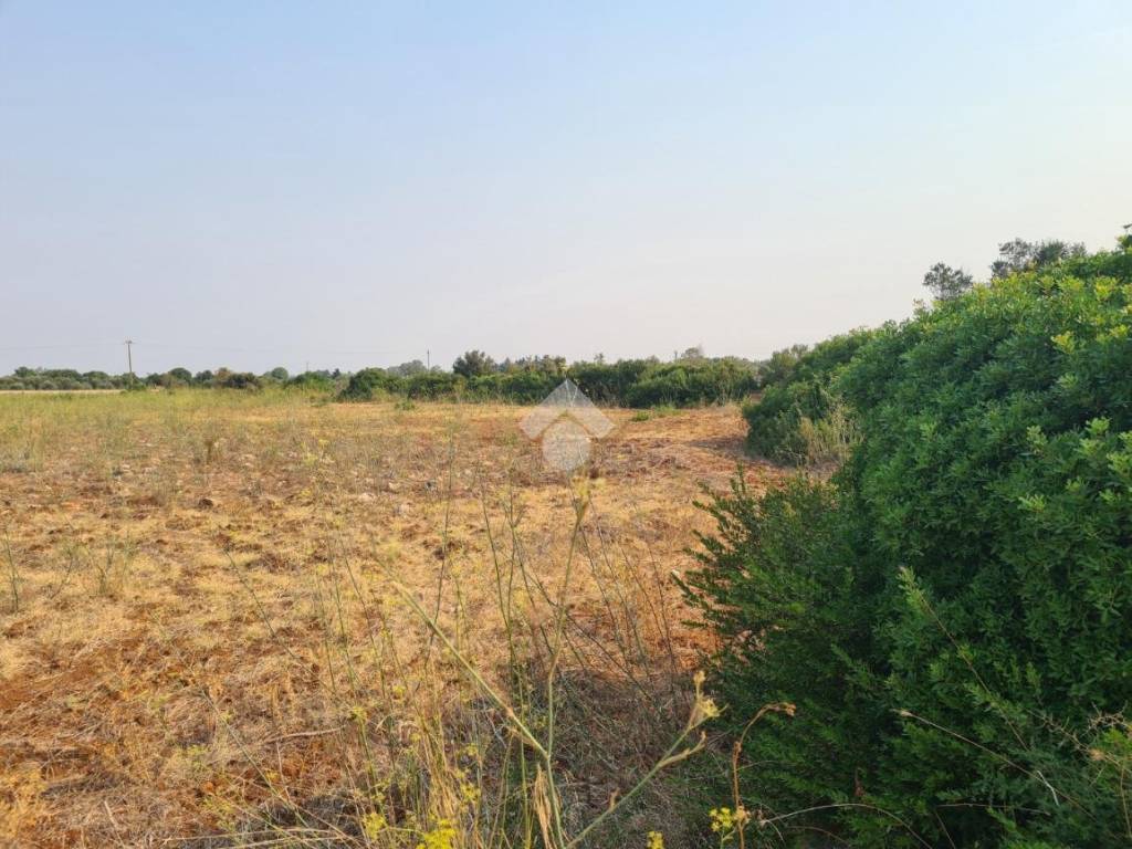 Terreno a Gallipoli in Contrada Trappeto Rosso - Foto 3