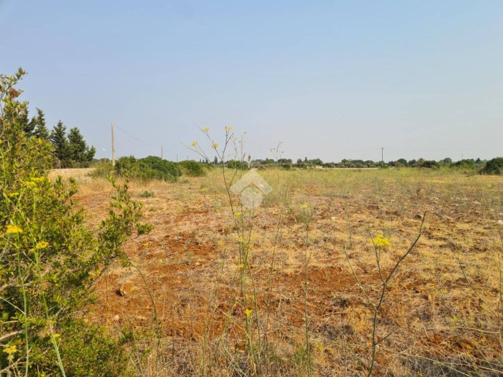 Terreno a Gallipoli in Contrada Trappeto Rosso - Foto 4