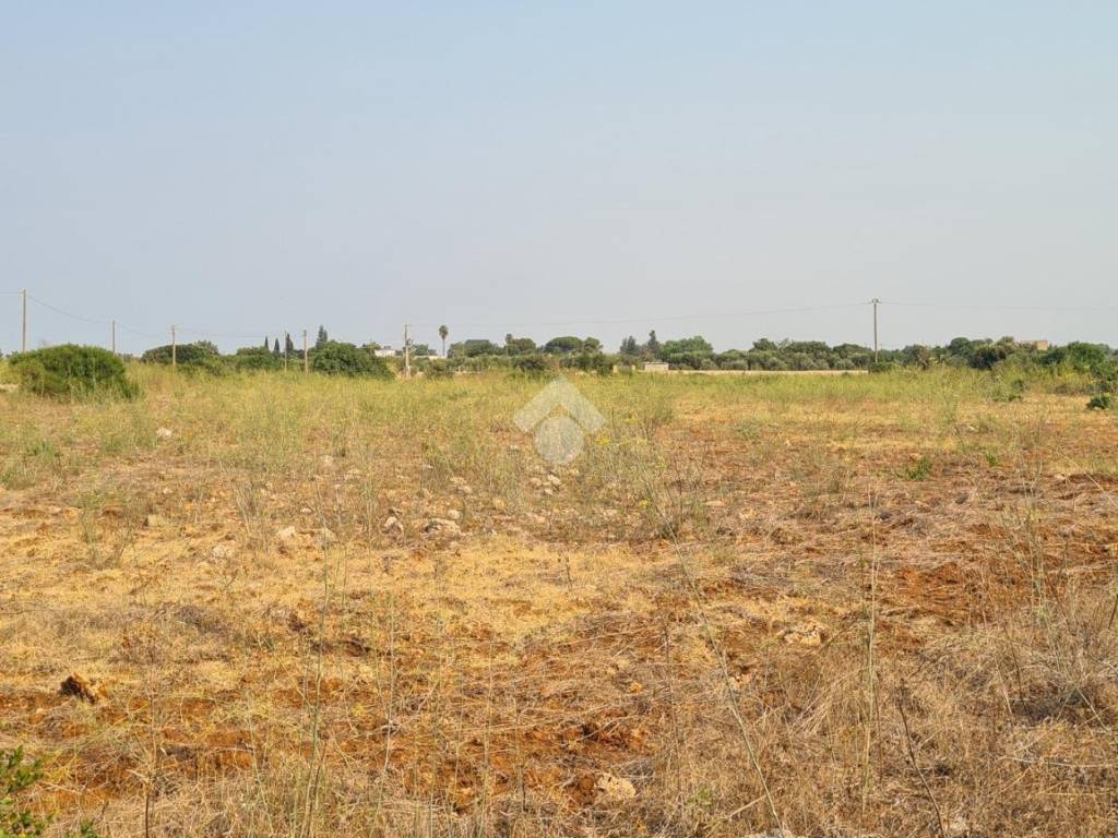 Terreno a Gallipoli in Contrada Trappeto Rosso - Foto 5