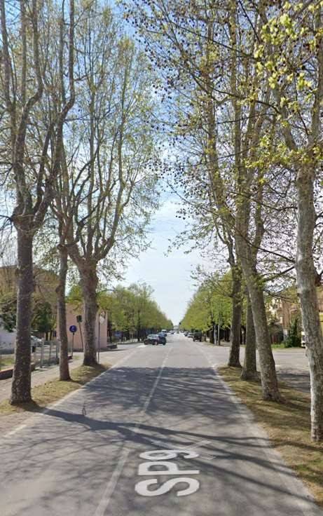 Appartamento a Crevalcore in via Del Papa - Foto 4