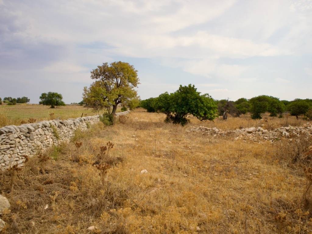 Terreno a Ragusa in SP111 - Foto 5