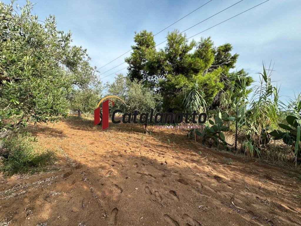 Terreno a Castelvetrano - Foto 2