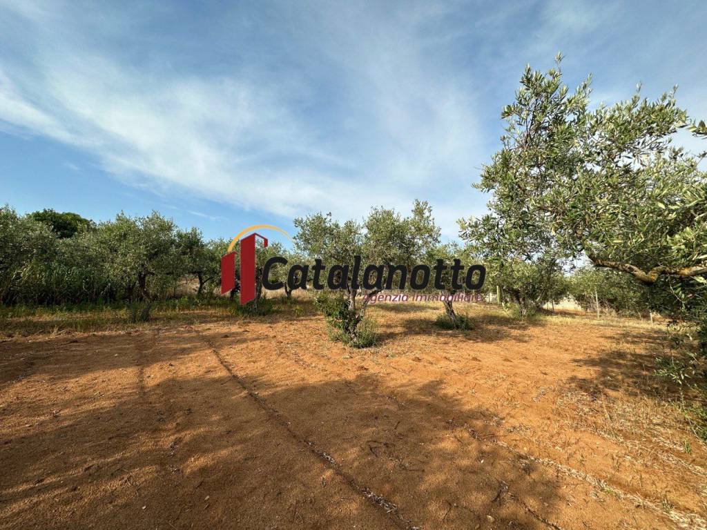 Terreno a Castelvetrano - Foto 3