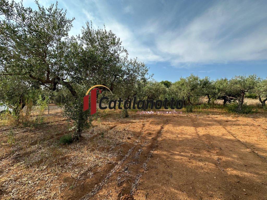 Terreno a Castelvetrano - Foto 4