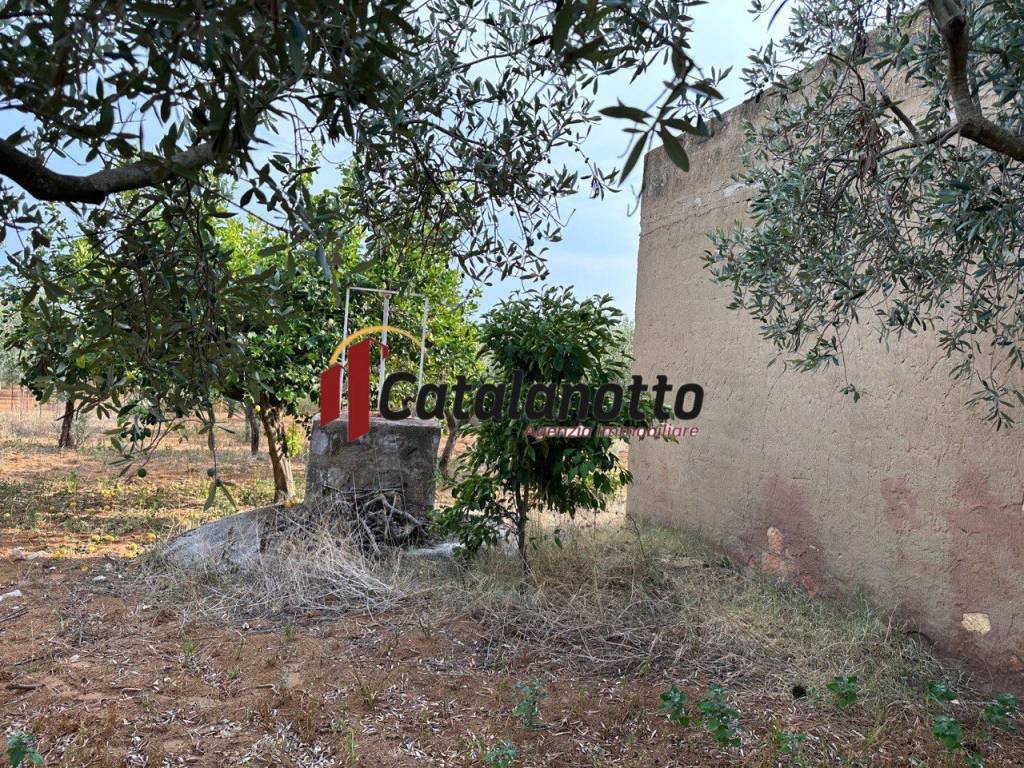 Terreno a Castelvetrano - Foto 5