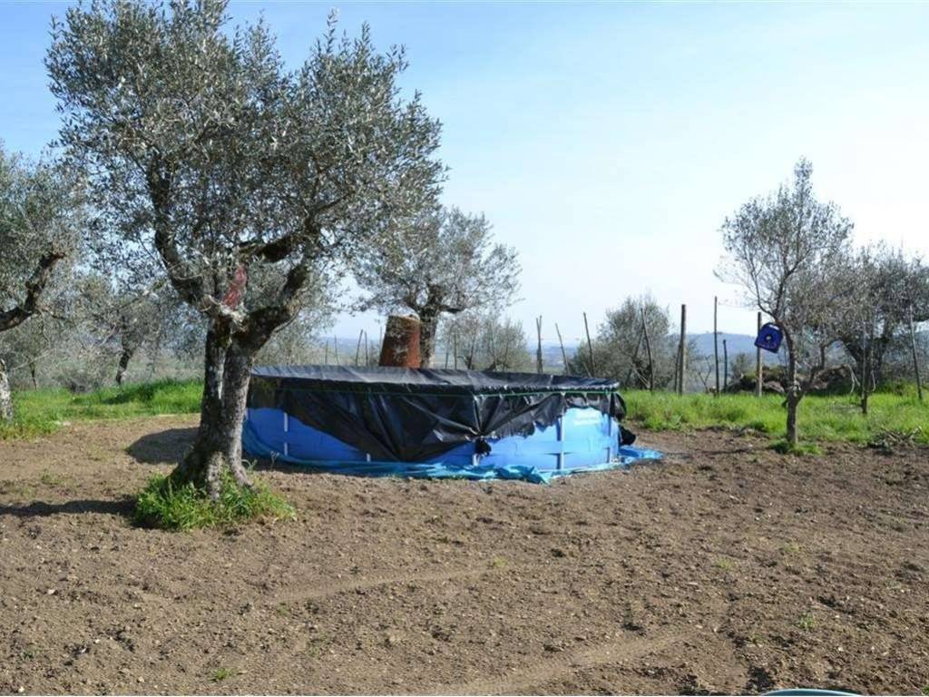 Immobile a Sinalunga - Foto 4