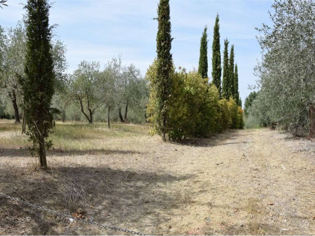 Terreno a Foiano della chiana - Foto 2