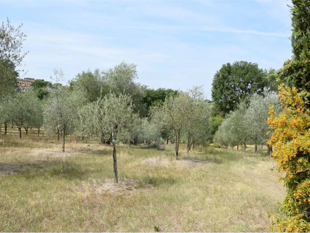 Terreno a Foiano della chiana - Foto 3