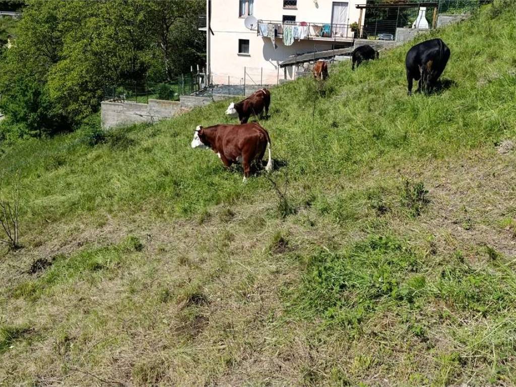Terreno a Montjovet in Reclou - Foto 5