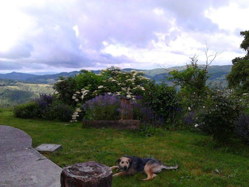 Rustico / casale a Gubbio in Caresto - Foto 4