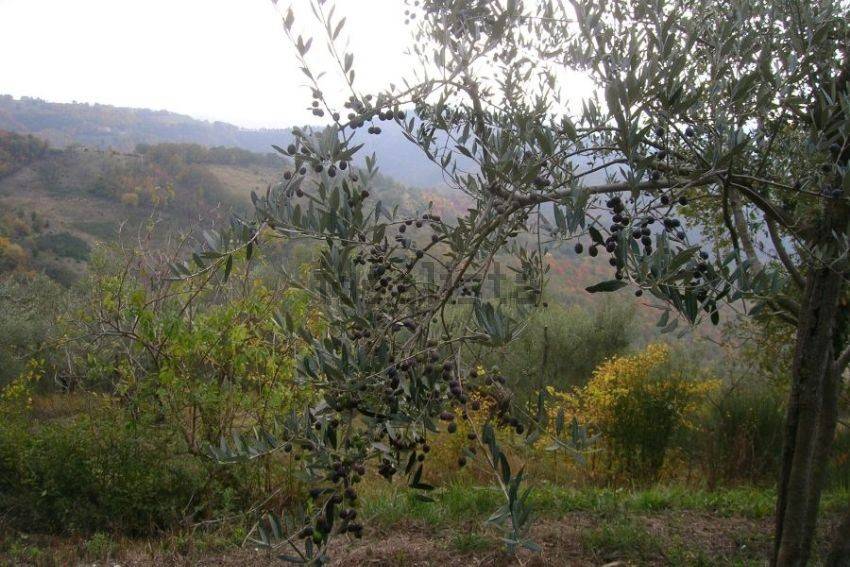 Rustico / casale a Gubbio in Caresto - Foto 5