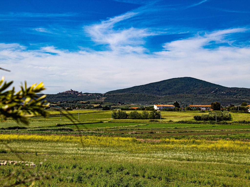 Terreno a Capalbio in Strada Origlio - Foto 2
