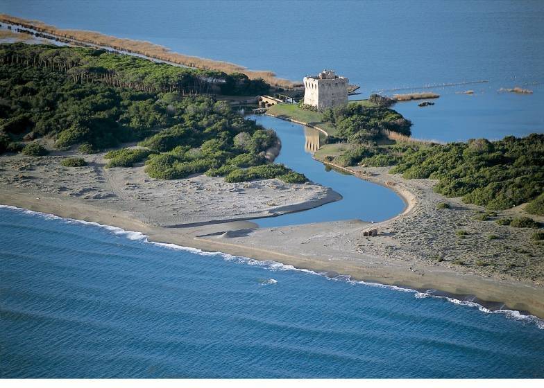 Terreno a Capalbio in Strada Origlio - Foto 3