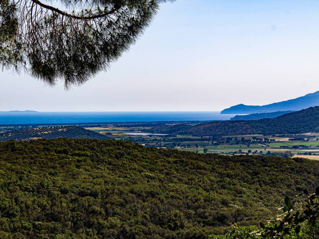 Terreno a Capalbio in Strada Origlio - Foto 4