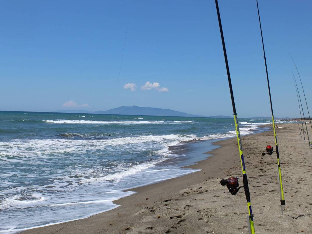 Terreno a Capalbio in Strada Origlio - Foto 5